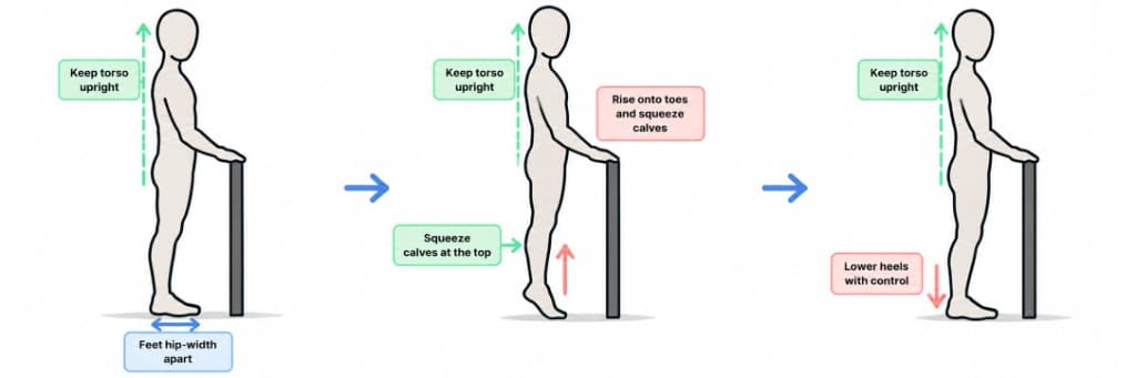 Calf Raise exercise guide