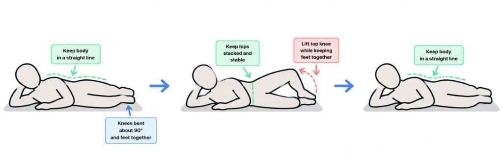 Clamshell exercise guide