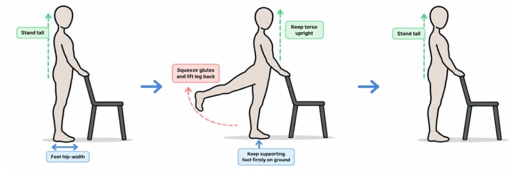 Standing Hip Extension exercise guide
