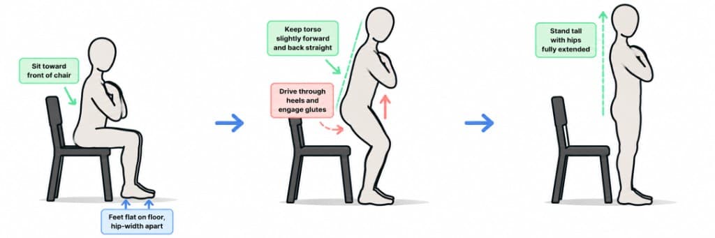 Chair Sit-to-Stand exercise guide