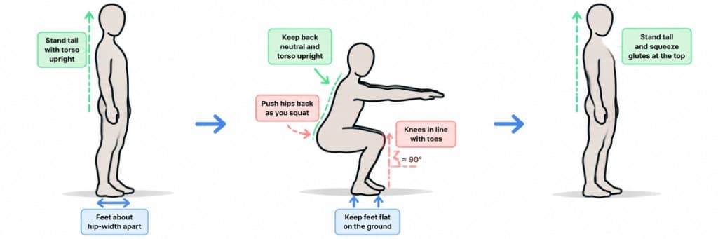 Bodyweight Squat exercise guide