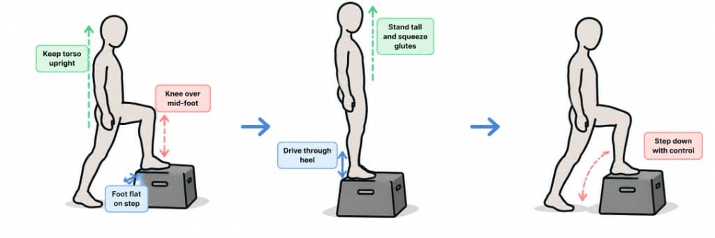 Step-Up exercise guide